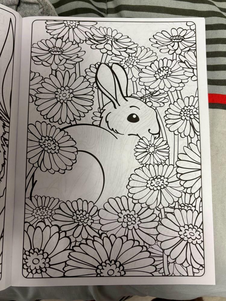 Rabbit among daisies, surrounded by dense floral pattern. Coloring book page.