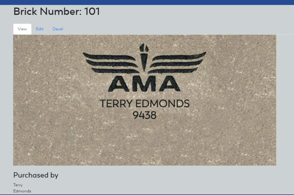 $100 brick